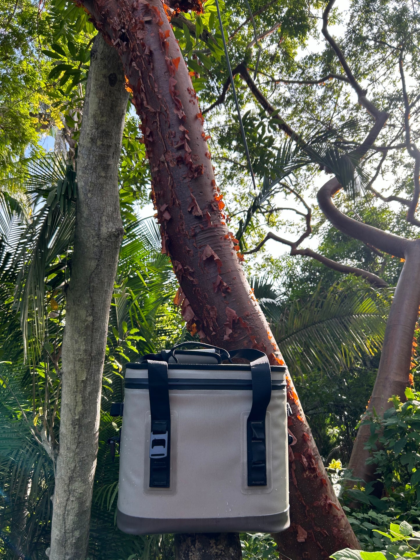 COOTER COOLER WITH SPEAKER